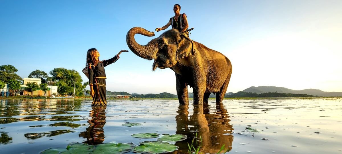 Chang Puak Elephant Camp Hat Yai- Riding Elephants