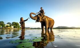 Chang Puak Elephant Camp Hat Yai- Riding Elephants